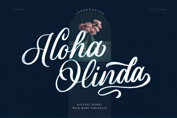 Aloha Olinda Script Font for Editorial Warmth and Clarity