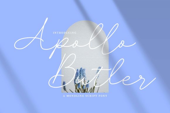 Apollo Butler: A Thin Lettered Script Font for Elegant Makers