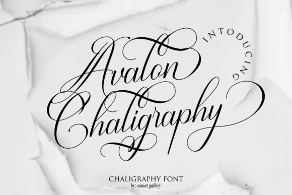 Avalon Chaligraphy Script Font for Elegant Branding