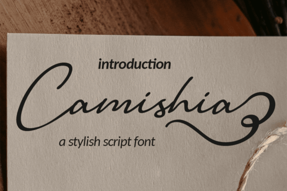 Camishia: An Elegant Script Font for Thoughtful Editorial Design