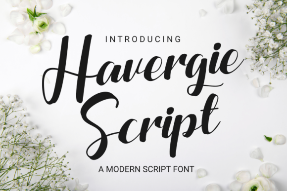 Havergie: A Chic Script Handwritten Font for Scroll-Stopping Brand Content