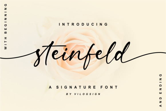 Steinfeld: A Contemporary Script Font for Elegant Digital Branding